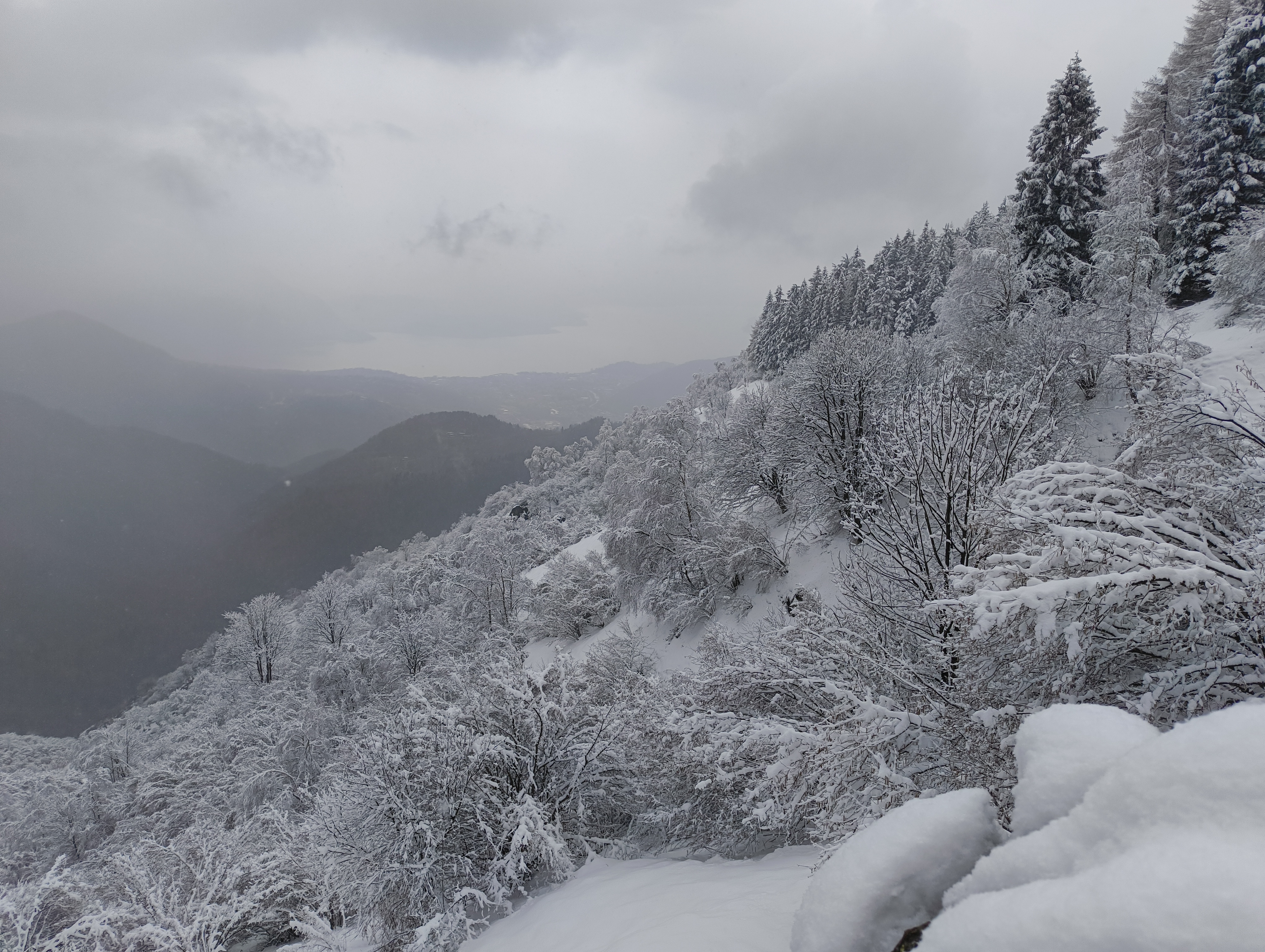 Foto n° 28 del trekking Bivacco del Gufo - Pizzo Pernice │ Alpe Curgei